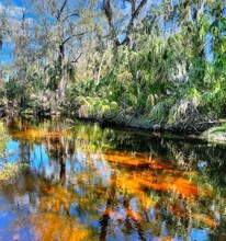 12620 Amber Ln, Lithia, FL for sale Primary Photo- Image 1 of 1