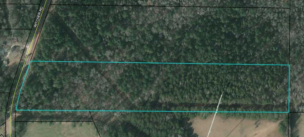 0 Witcher Rd, Newnan, GA for sale - Primary Photo - Image 1 of 1