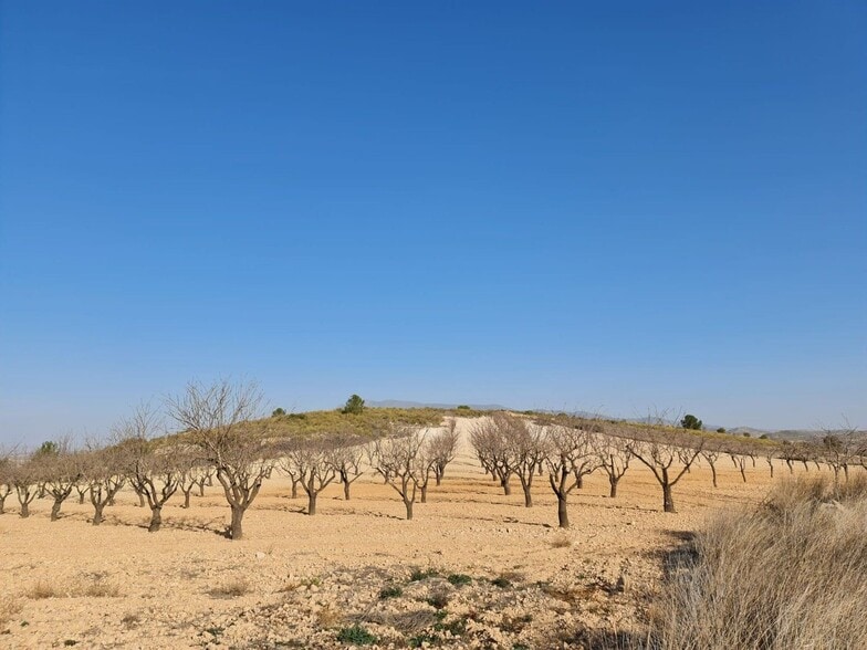 Land in Jumilla, Murcia for sale - Primary Photo - Image 2 of 15