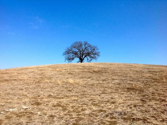 2450 Golden Hill Rd, Paso Robles, CA for sale - Building Photo - Image 3 of 14