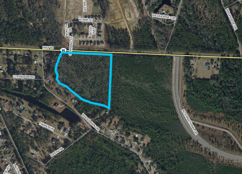 TBD Hwy 90, Conway, SC for sale - Primary Photo - Image 1 of 5