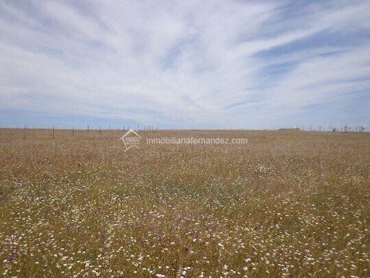 Land in Sierra de Fuentes for sale Aerial- Image 1 of 3