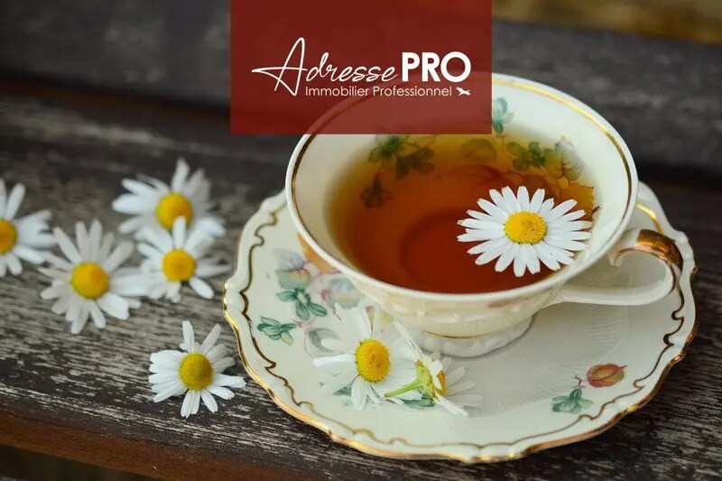 Retail in Montpellier to rent - Building Photo - Image 2 of 6