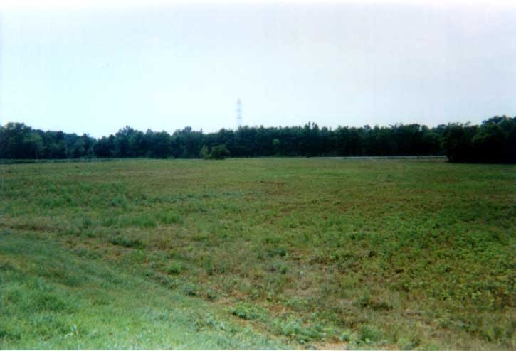 Commerce Ln, Eden, NC for sale - Primary Photo - Image 1 of 1