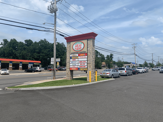 More details for 300-318 Portion Rd, Ronkonkoma, NY - Retail for Rent