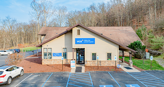 VCA Valley Vet Animal Hospital - Commercial Property