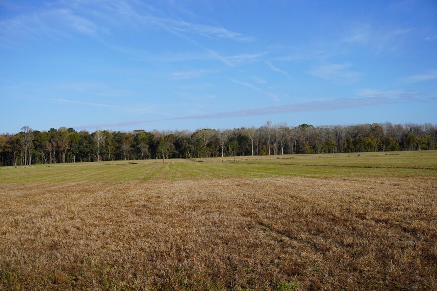 2066 Rackity Hall Rd, Wadmalaw Island, SC for sale - Building Photo - Image 2 of 20