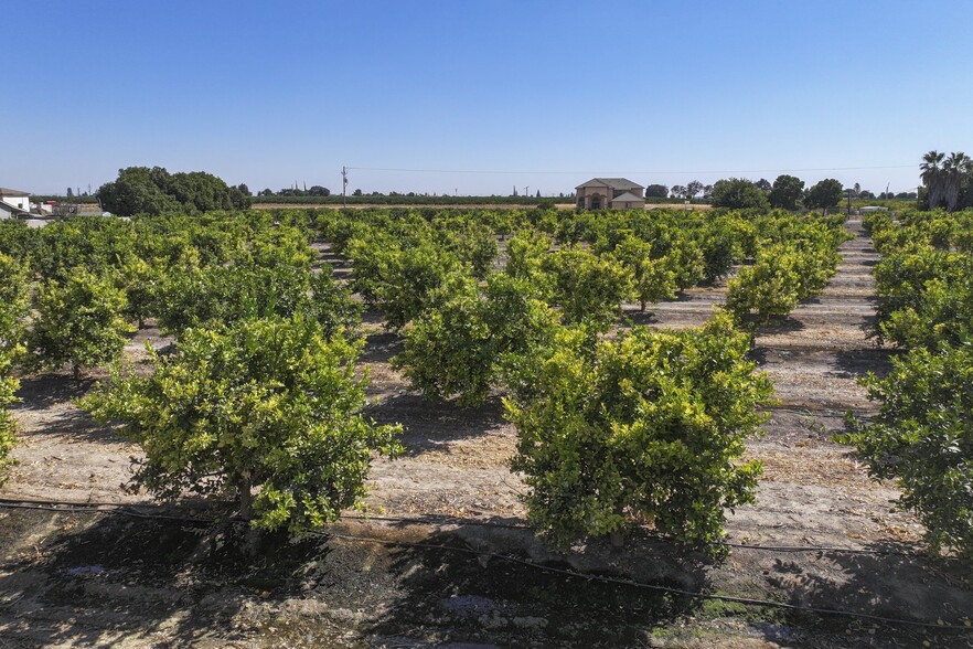 NWc Avenue 424, Dinuba, CA for sale - Primary Photo - Image 1 of 12