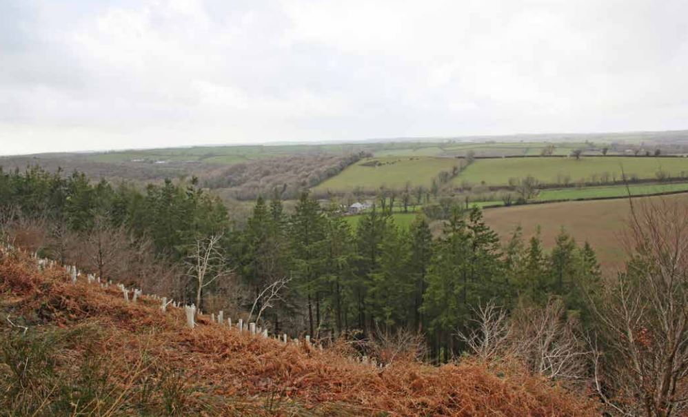 Bridestowe, Okehampton for sale Primary Photo- Image 1 of 1