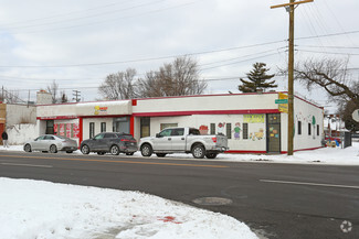 More details for 15100-15114 Plymouth Rd, Detroit, MI - Retail for Rent