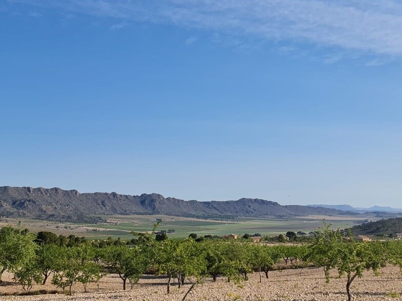 Land in Yecla, Murcia for sale - Primary Photo - Image 1 of 28