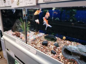 Vicarage Walk, Newport to rent Interior Photo- Image 1 of 5