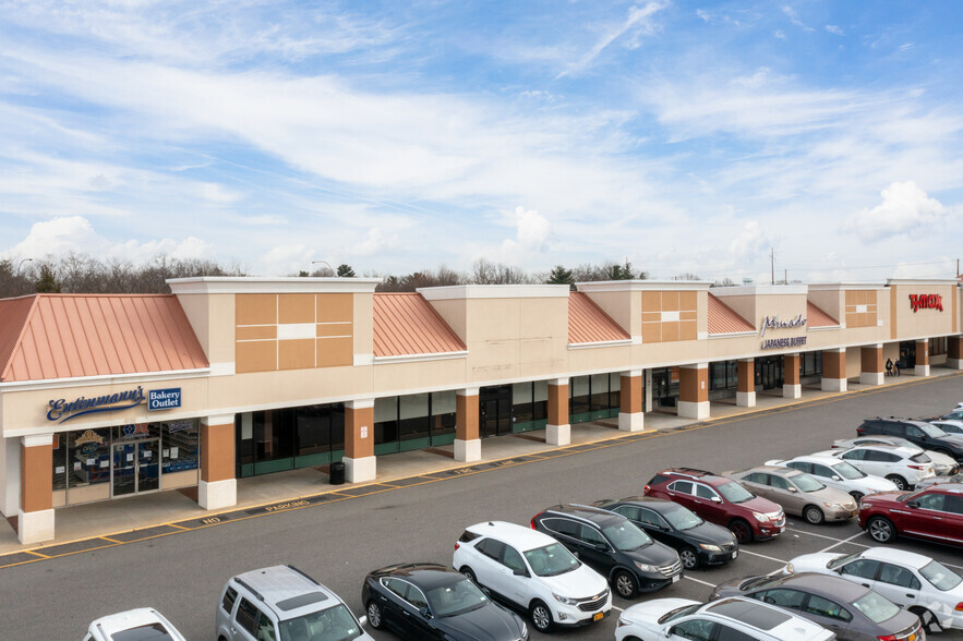 207-225 Glen Cove Rd, Carle Place, NY for rent - Building Photo - Image 1 of 4