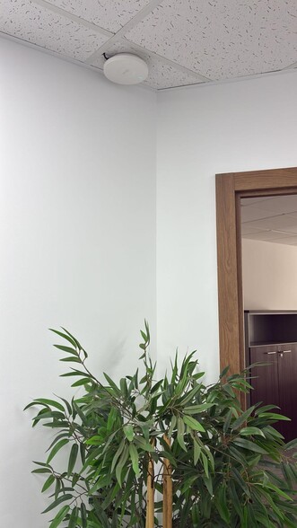 Office in València to rent - Interior Photo - Image 3 of 11
