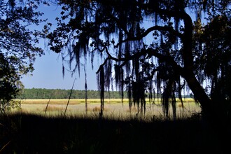 1117 Mackay Point Rd, Yemassee, SC for sale Primary Photo- Image 1 of 1