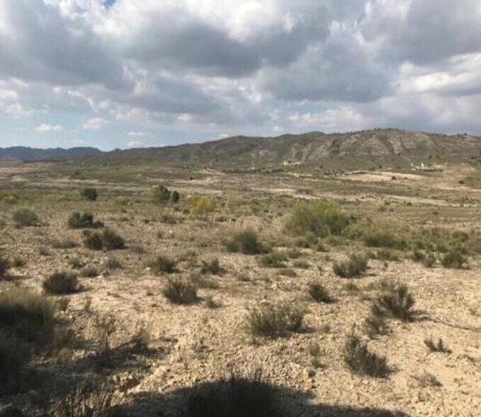 Land in Cieza for sale - Aerial - Image 3 of 17