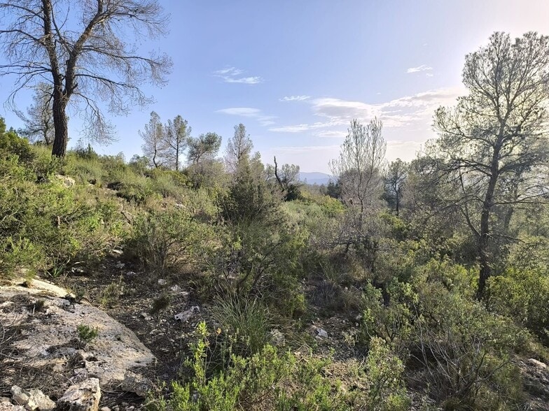 Land in Yecla, Murcia for sale - Site Plan - Image 3 of 15