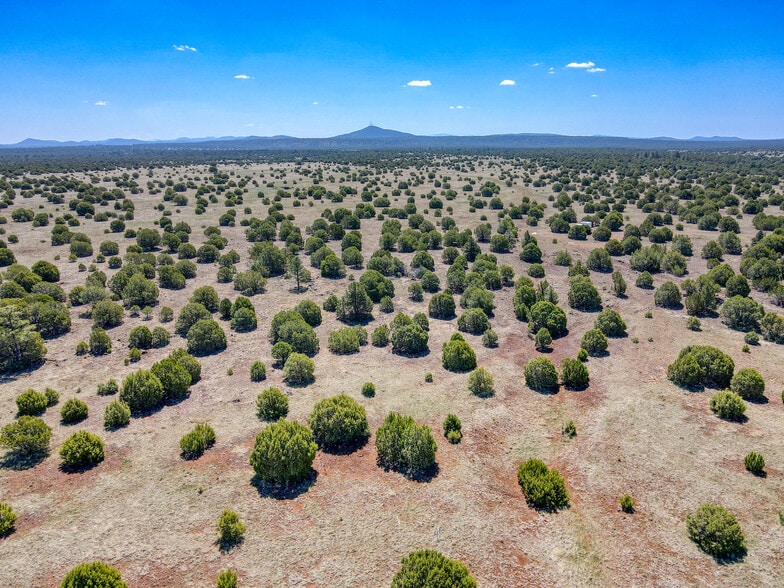 TBD Penrod Road, Show Low, AZ for sale - Primary Photo - Image 1 of 10