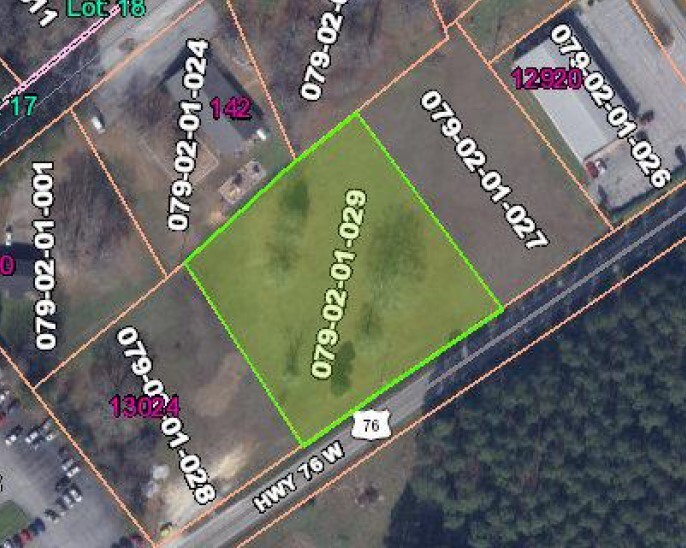 142 Hickory Tots Ln, Gray Court, SC for sale - Other - Image 2 of 2