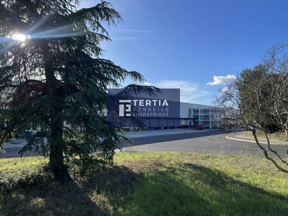 Office in Montpellier to rent Building Photo- Image 1 of 12