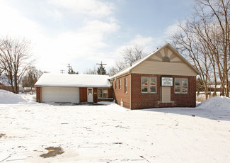 More details for 1020 E Grand River Ave, Brighton, MI - Office for Sale