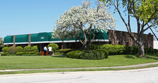 More details for 390 E Higgins Rd, Elk Grove Village, IL - Office for Rent