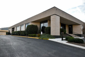 More details for 3825 Electric Rd, Roanoke, VA - Office for Rent