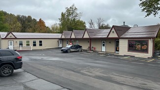 More details for 1212 E M-36, Pinckney, MI - Retail for Rent