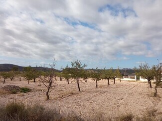 More details for Calle de la Vereda, 4, Abanilla - Land for Sale