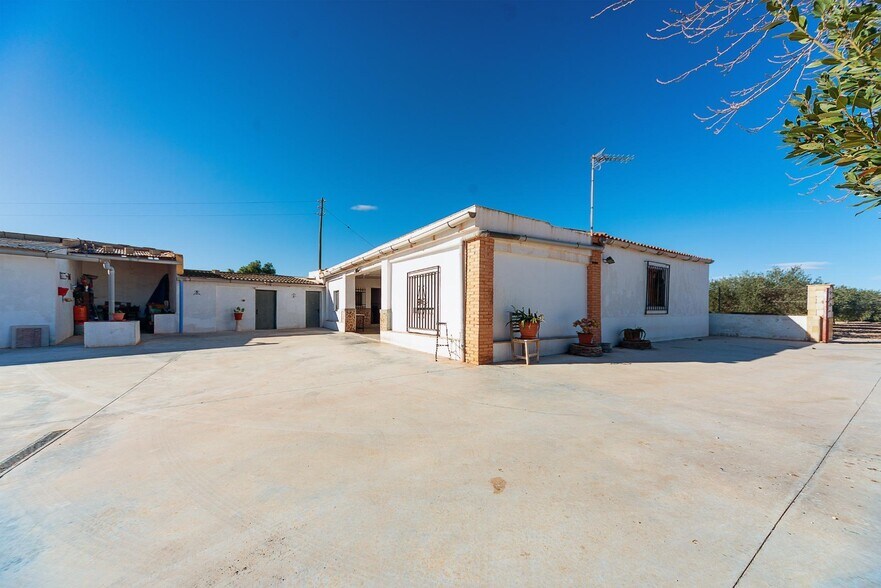 Polígono 4, 124, Aspe, Alicante for sale - Building Photo - Image 2 of 37