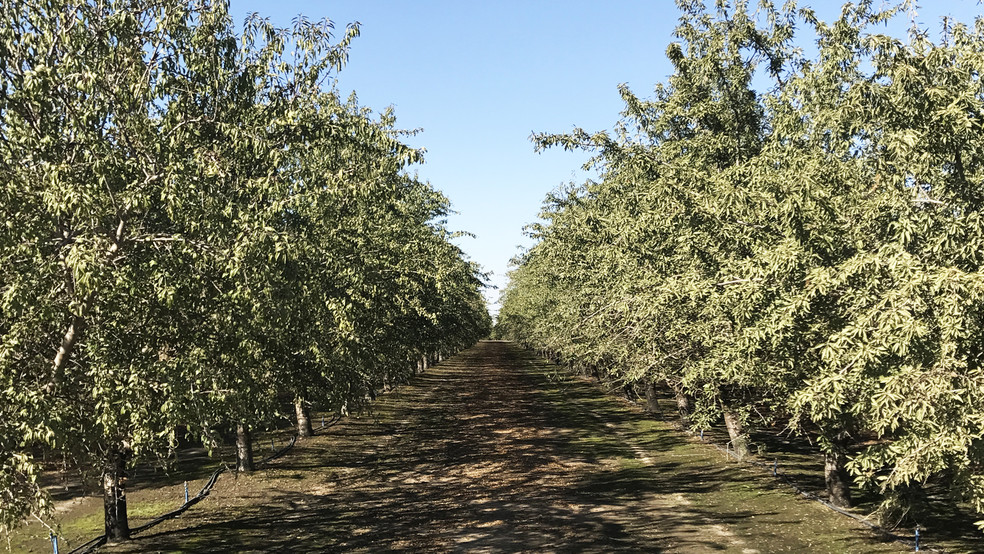 Sec Ave 9 & Rd 21 And Nwc Ave 14 & Rd 19, Madera, CA for sale - Other - Image 1 of 1