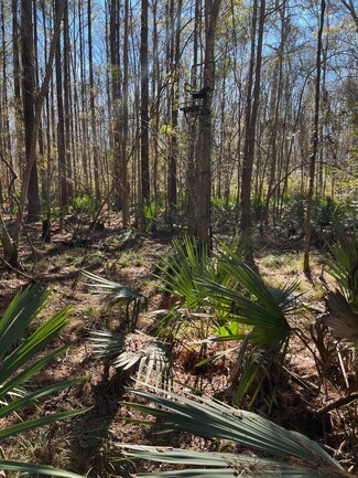 More details for 1 Great Swamp, Bluffton, SC - Land for Sale