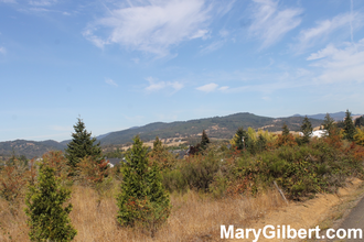 0 Fort McKay Rd, Sutherlin, OR for sale Primary Photo- Image 1 of 1