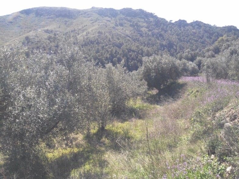Land in Calasparra for sale - Building Photo - Image 1 of 10