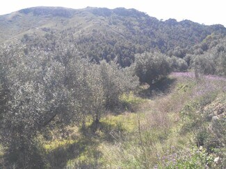 More details for Land for Sale