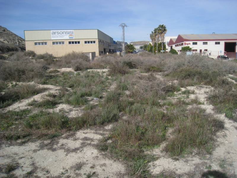 Land in Aspe, Alicante for sale Primary Photo- Image 1 of 8