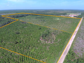 1160 County Road 204, Hastings, FL for sale Aerial- Image 1 of 1