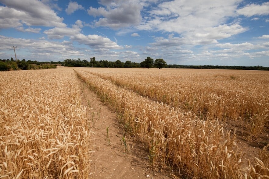 Stubbings Farm Burchetts Green, Maidenhead for sale - Primary Photo - Image 1 of 13