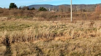 More details for 54 Nadalini Dr, Mansfield, PA - Land for Sale