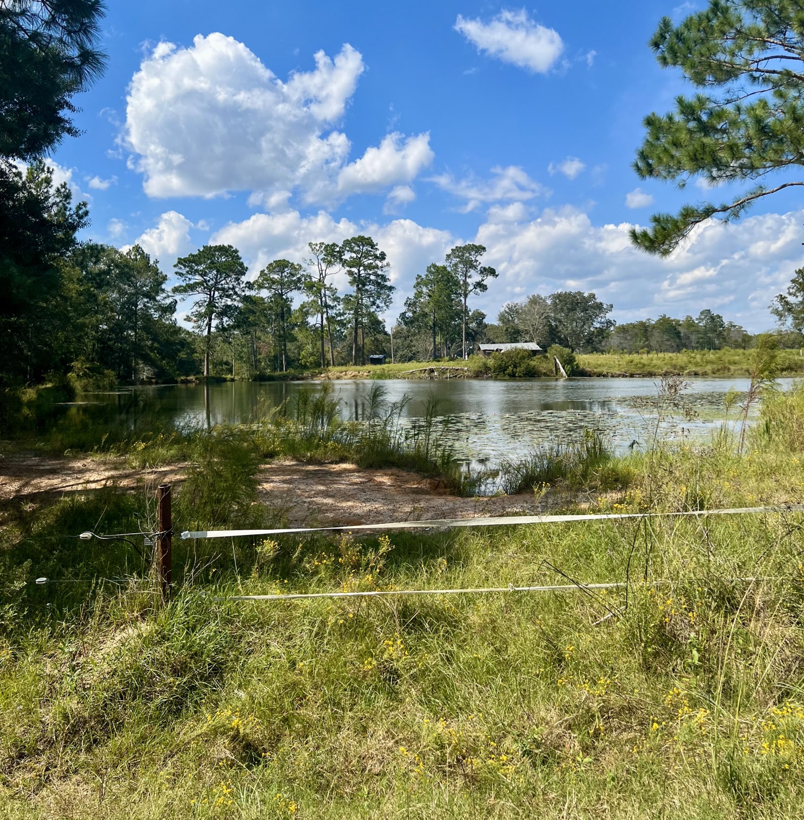 627 Buford Rd, Arabi, GA for sale Other- Image 1 of 10