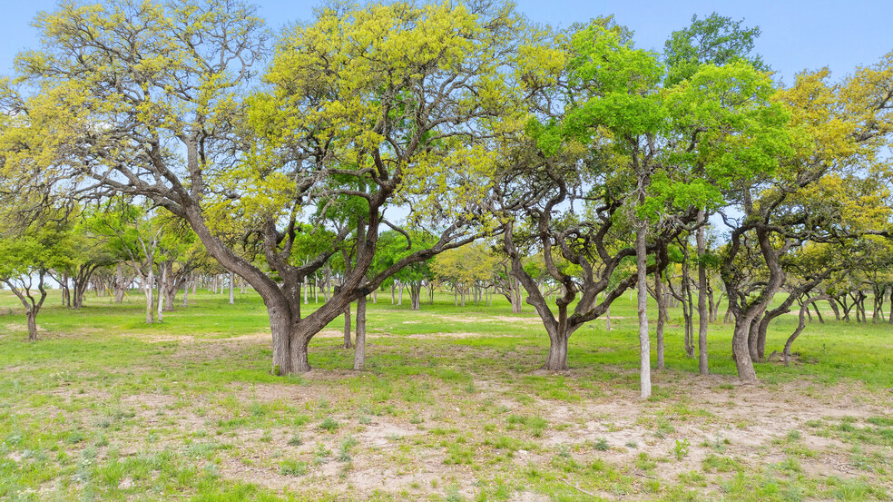 1686 US-290, Johnson City, TX for rent - Building Photo - Image 3 of 28