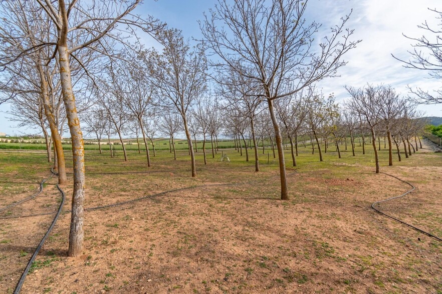 Land in Padul, Granada for sale - Building Photo - Image 3 of 50