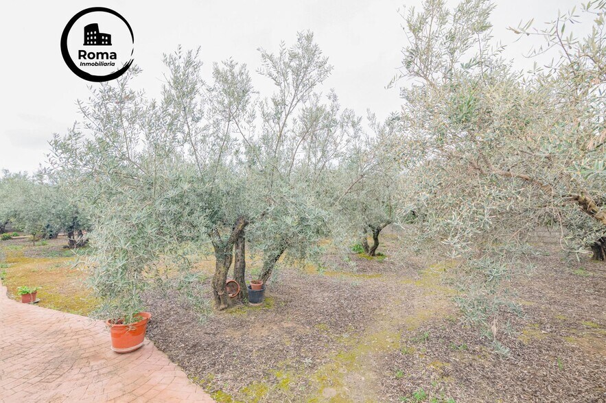 Land in Ogíjares, Granada for sale - Building Photo - Image 3 of 25