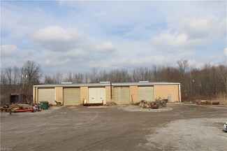 More details for 11838 W Akron Canfield Rd, North Jackson, OH - Light Industrial for Sale