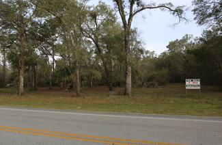 More details for W Main St, Lake Helen, FL - Land for Rent