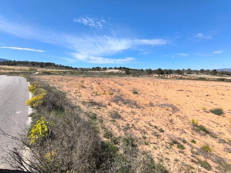 Land in Jumilla, Murcia for sale - Primary Photo - Image 2 of 4
