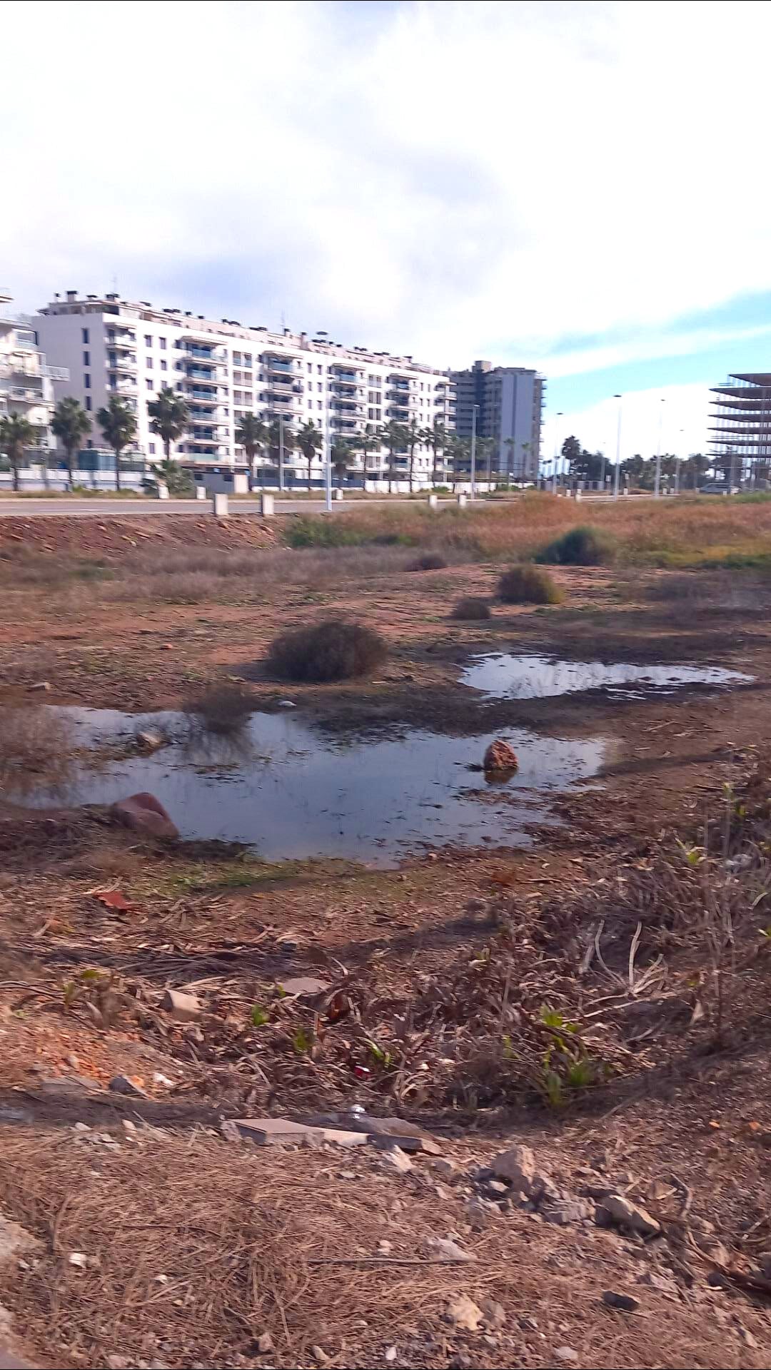 Land in Moncofa, Castellón for sale Primary Photo- Image 1 of 7