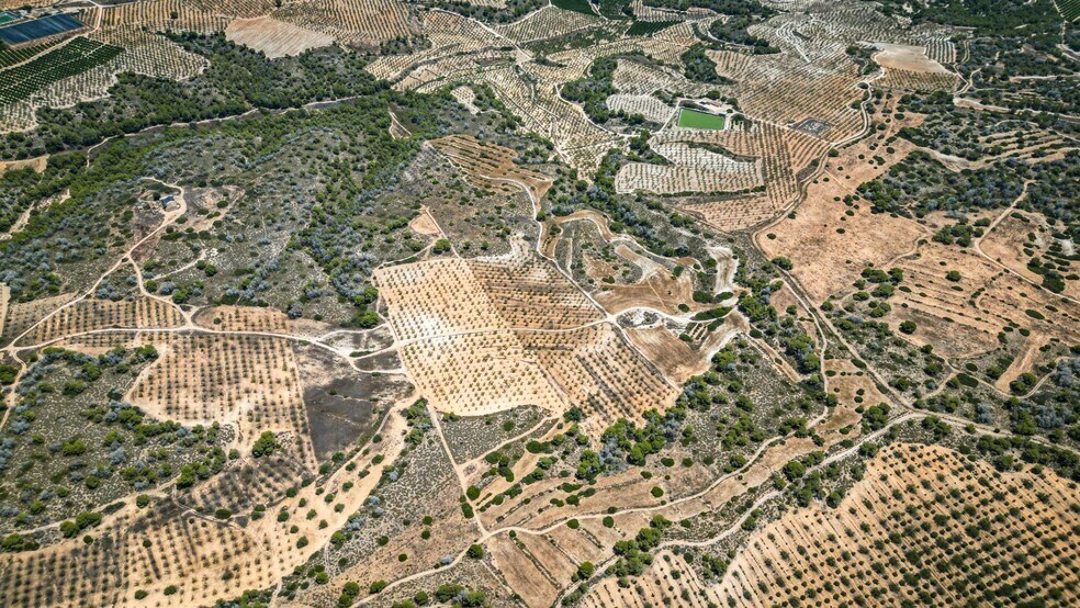 Polígono Pp Zb, 16, Murcia, Murcia for sale - Aerial - Image 2 of 6