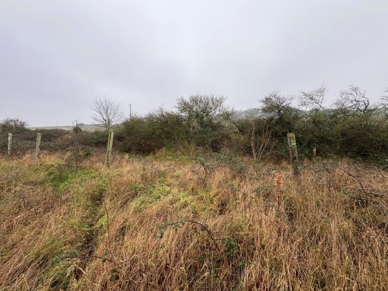 Docking Rd, Burnham Market for sale - Other - Image 2 of 10