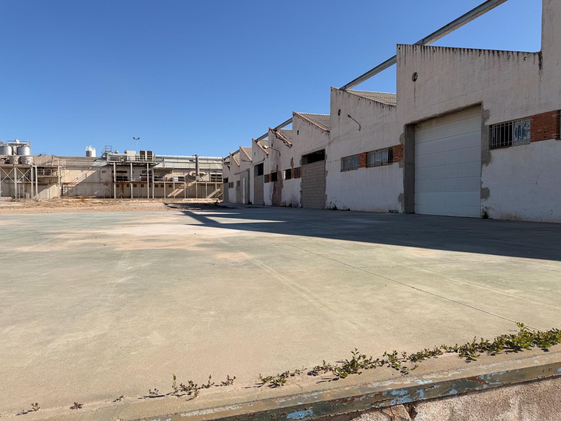 Industrial in Valls, Tarragona to rent Building Photo- Image 1 of 26